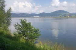 20190621_114505_pc.jpg||