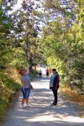 img_20190724_164051146_pc.jpg||