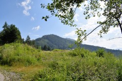 dsc_4860_pc.jpg||
