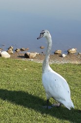 20191025_105949_pc.jpg||