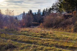 img_20191119_085727034_hdr_pc.jpg||