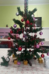 img_20191218_094644_pc.jpg||