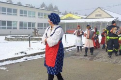 fasiangy_zastranie_2_.jpg||