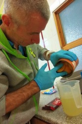 05_sladke_tvorenie.jpg||