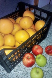 02_vitaminy_pc.jpg||
