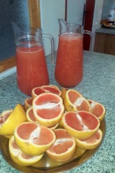 05_vitaminy_pc.jpg||