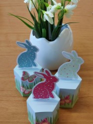 img_20200401_110820_1_pc.jpg||