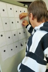 img_20200526_100616_pc.jpg||