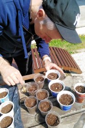 07_sadime_semienka.jpg||