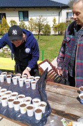 08_sadime_semienka.jpg||