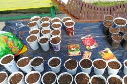 09_sadime_semienka.jpg||