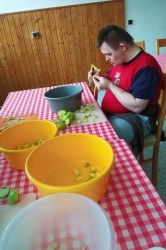 02_jablkovy_kolac.jpg||