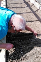 img_20200520_135556_pc.jpg||