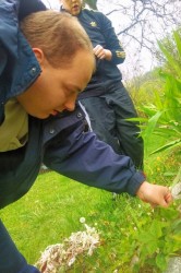 02_bylinkov_caj.jpg||