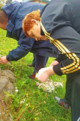 05_bylinkov_caj.jpg||