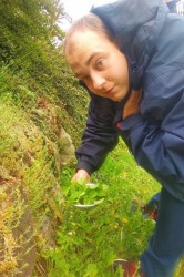 07_bylinkov_caj.jpg||