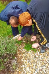 09_bylinkov_caj.jpg||