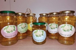 09_bazovy_sirup.jpg||