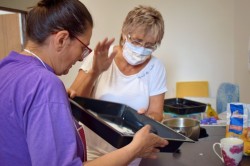 10_marhulovy_kolac.jpg||