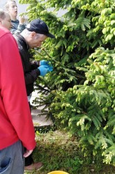 img_20200604_102541_pc.jpg||