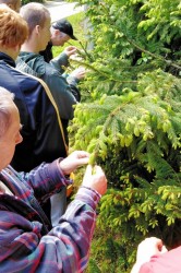 img_20200604_102655_pc.jpg||