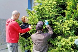 img_20200604_102826_pc.jpg||