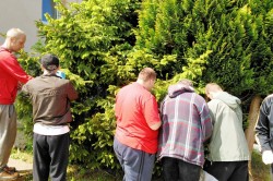 img_20200604_103051_pc.jpg||