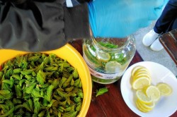 img_20200604_104102_pc.jpg||