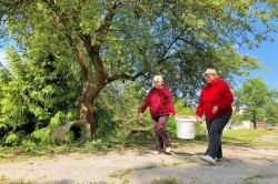 05_upratujeme_po_kosen_.jpg||