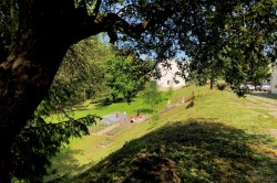 10_upratujeme_po_kosen_.jpg||