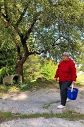 12_upratujeme_po_kosen_.jpg||