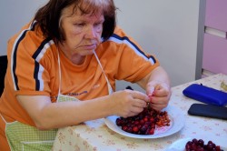 14_zber_ceresi_a_priprava_kol_ca.jpg||