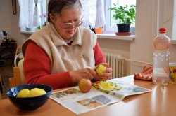 06_jablkov_pyr_.jpg||