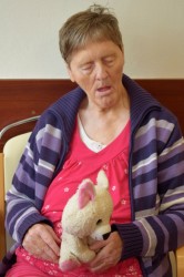 07_jablkov_pyr_.jpg||