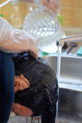 10_skraslujeme_sa.jpg||