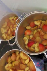 09_jablkov_kompot.jpg||