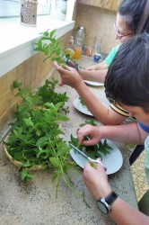 01_m_tov_sirup.jpg||