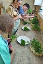 03_m_tov_sirup.jpg||