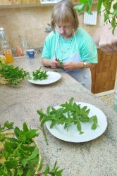 04_m_tov_sirup.jpg||