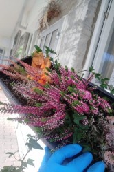 05_jesenn_dekor_cie.jpg||