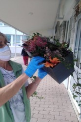 06_jesenn_dekor_cie.jpg||