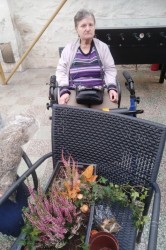 09_jesenn_dekor_cie.jpg||