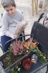 10_jesenn_dekor_cie.jpg||