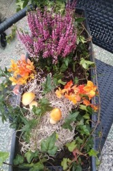 11_jesenn_dekor_cie.jpg||