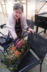 13_jesenn_dekor_cie.jpg||