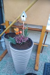 20_jesenn_dekor_cie.jpg||