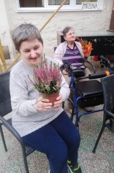 28_jesenn_dekor_cie.jpg||