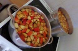 11_posedenie_pri_ovocnom_punci_pc.jpg||