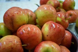 02_susime_ovocie.jpg||