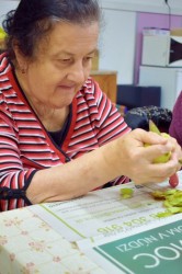 08_susime_ovocie.jpg||